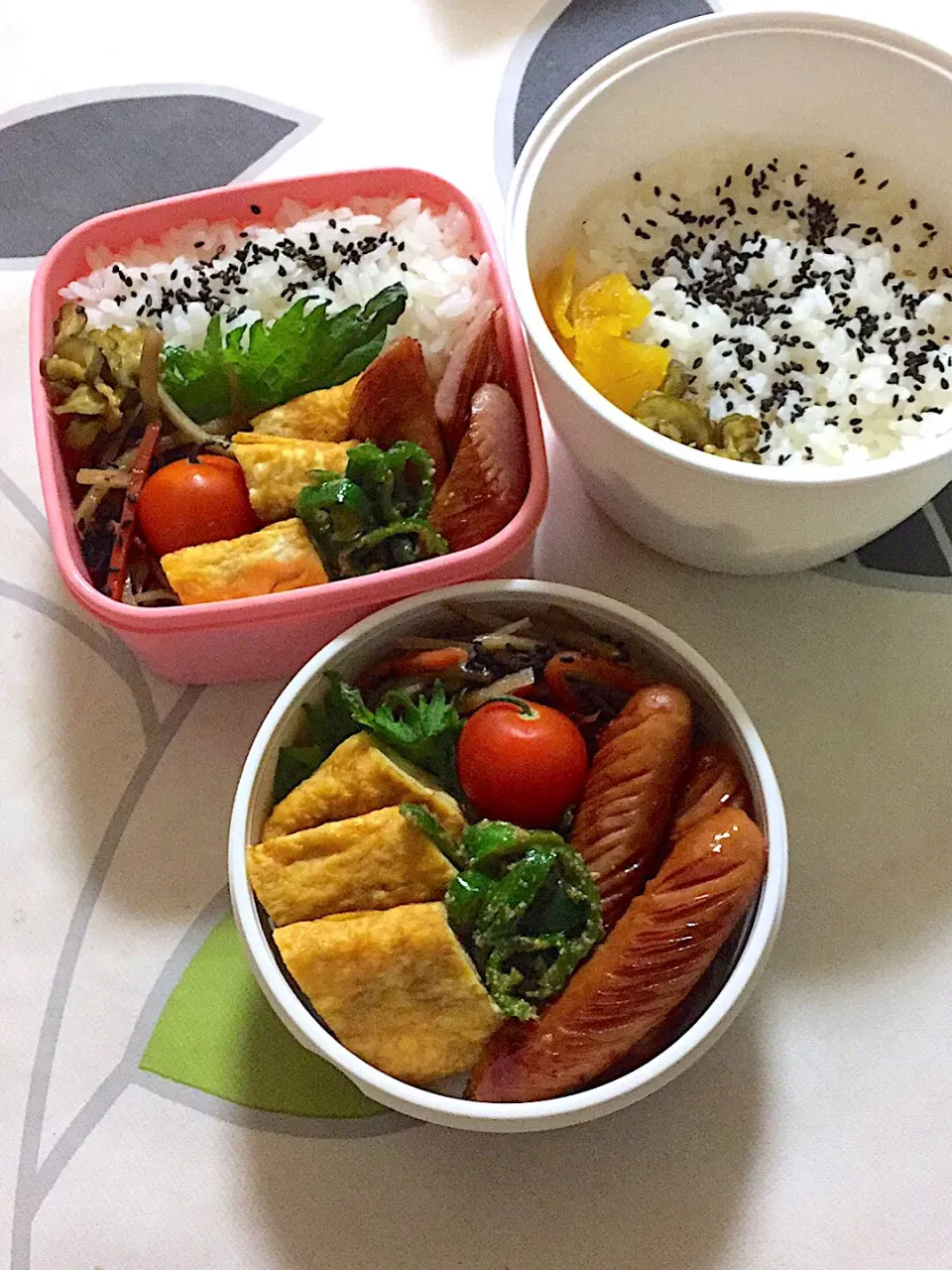 20190213兄姉弁当🍱。今日は肉も魚も無かった😅|hanakoさん