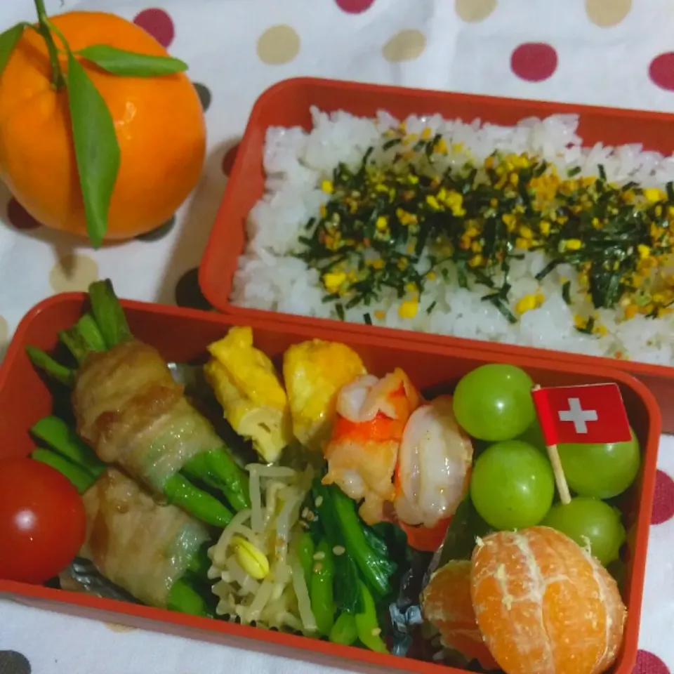 今日の息子のお弁当🍱|けーこさん