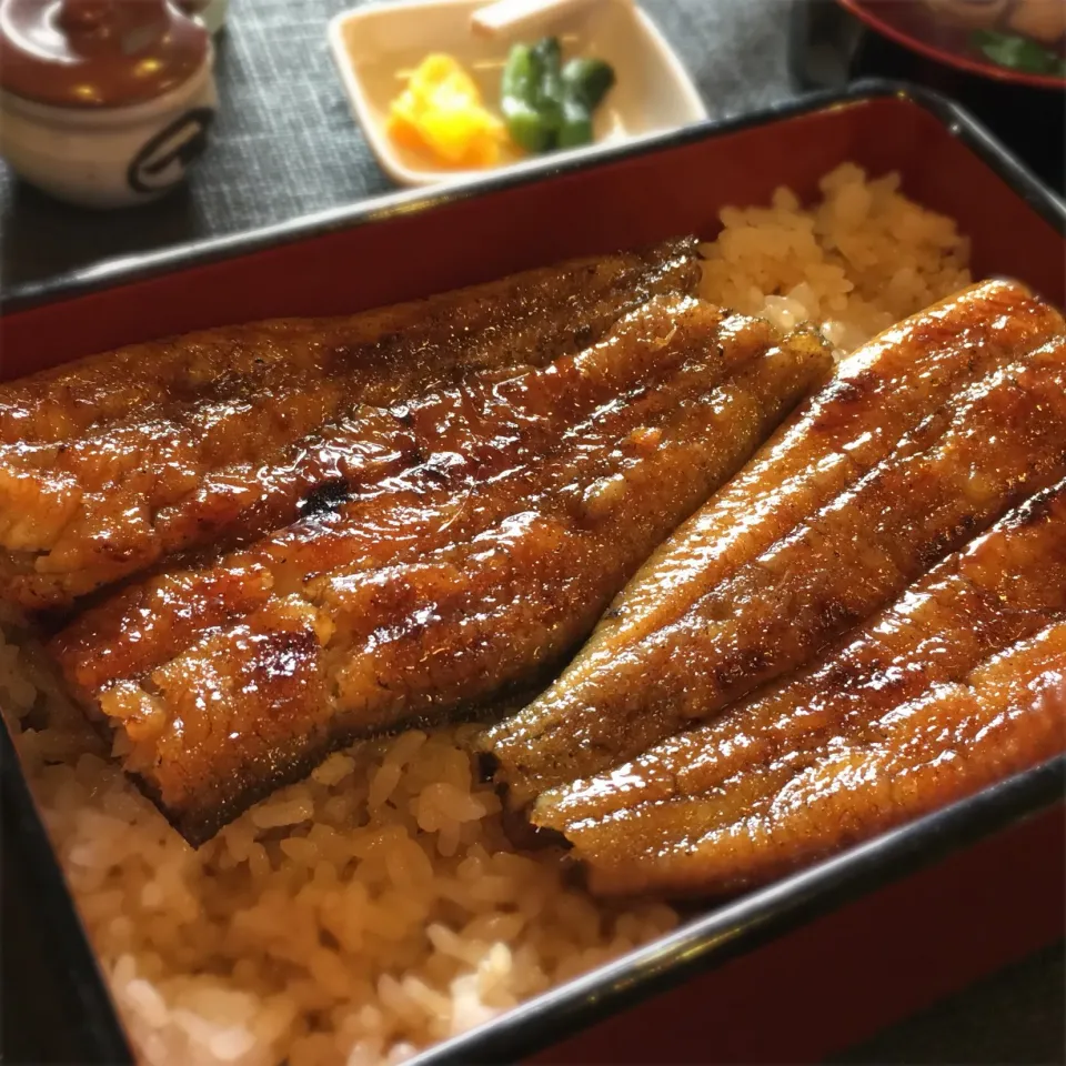 うなぎ丼|ふじわりゃさん