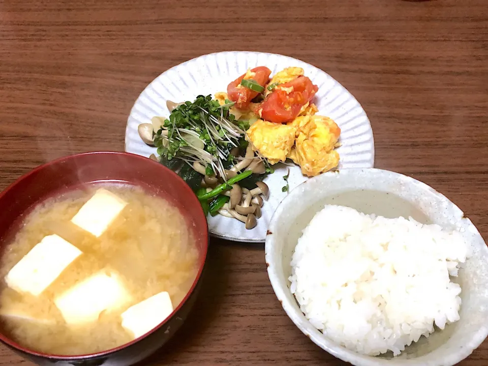 Snapdishの料理写真:|まみさん