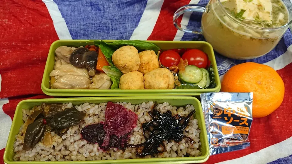 おからボール弁当|りょーさん