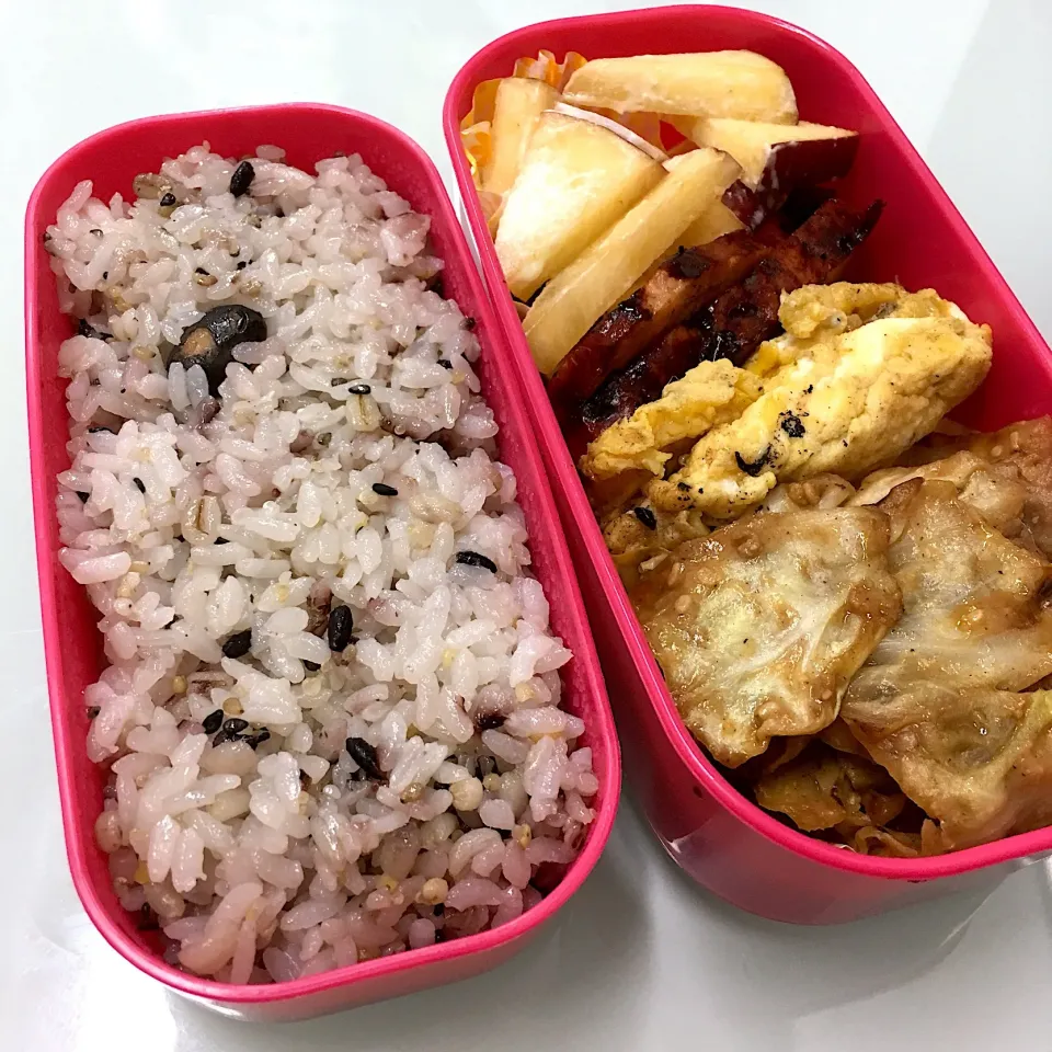 Snapdishの料理写真:190204お弁当|mioさん