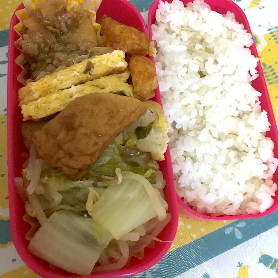 190130お弁当|mioさん