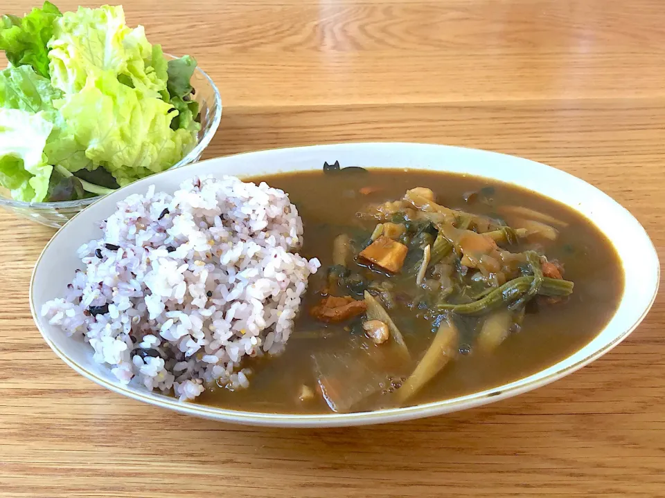 Snapdishの料理写真:お野菜カレー #カレーライス  #れんこん  #ごぼう  #しめじ  #ほうれん草  #たまねぎ  #鶏肉  #十六穀米ごはん|あやさん