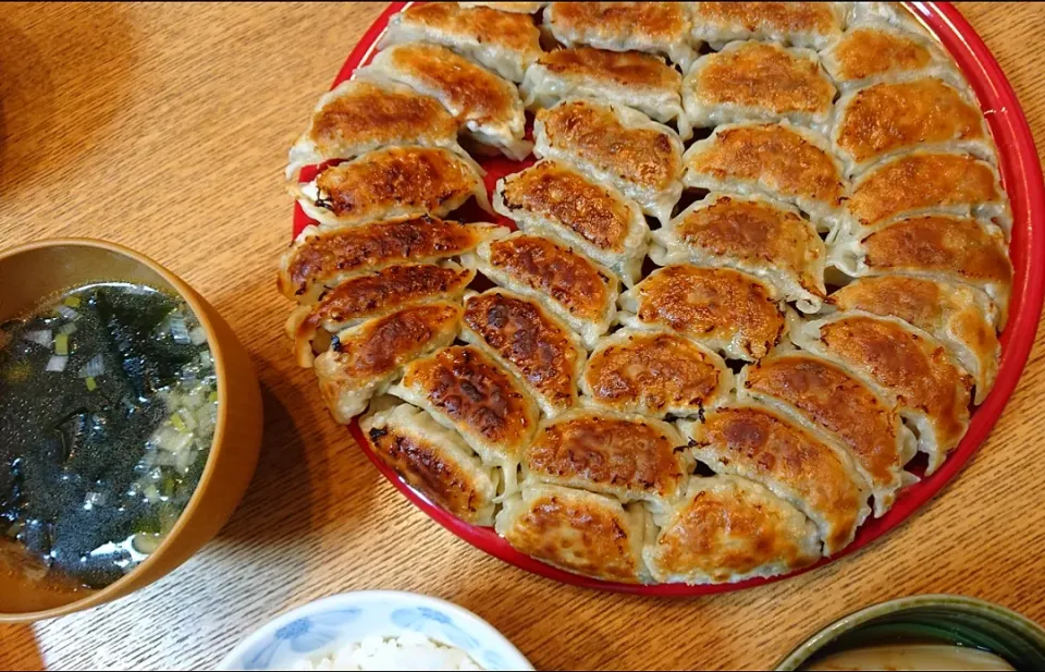 手作り餃子&ダシダのわかめスープ♪|しほさん