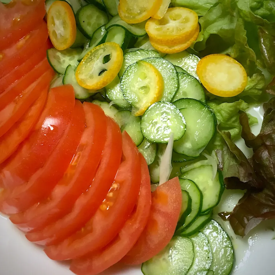 Yu Yu mamaの料理 #金柑入りサラダ🥗
酢玉ねぎ、きゅうり、トマト、レタスの上に金柑スライス|Yu Yu mamaさん