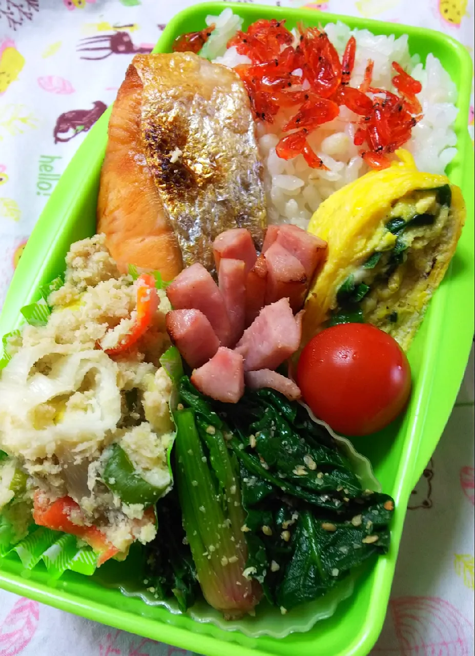 鮭弁当♪|ちびたまさん