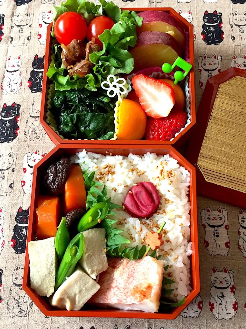 #お弁当  #お父さん弁当  #和食弁当  #野菜たっぷり 
 #我が家の味  #和風煮物  #日の丸弁当|Blueberry🫐さん