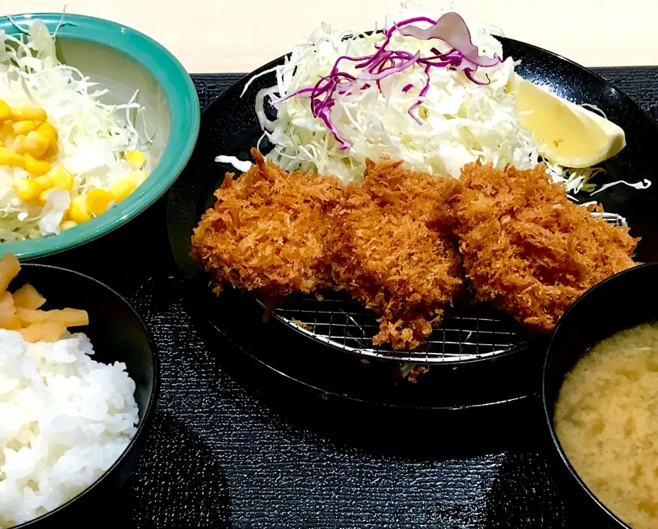 Snapdishの料理写真:ヒレかつ定食＋ミニサラダ
#キャベツばかりのミニサラダ
#とんかつ好き男のランチ
#とんかつ松のや堺東店|mottomoさん