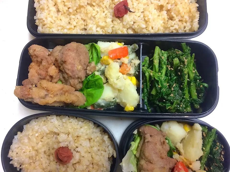 Snapdishの料理写真:#今日のお弁当|Victoryageさん