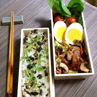 Snapdishの料理写真:野菜炒め弁|Atsukoさん