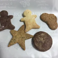 クッキー🍪|クッキーさん