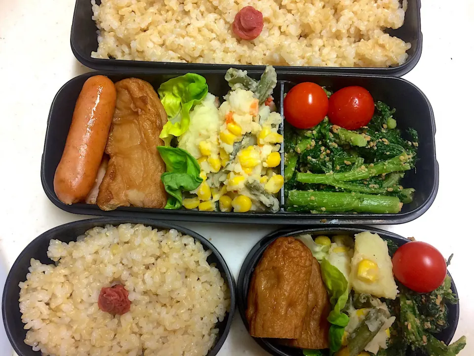 Snapdishの料理写真:#今日のお弁当|Victoryageさん