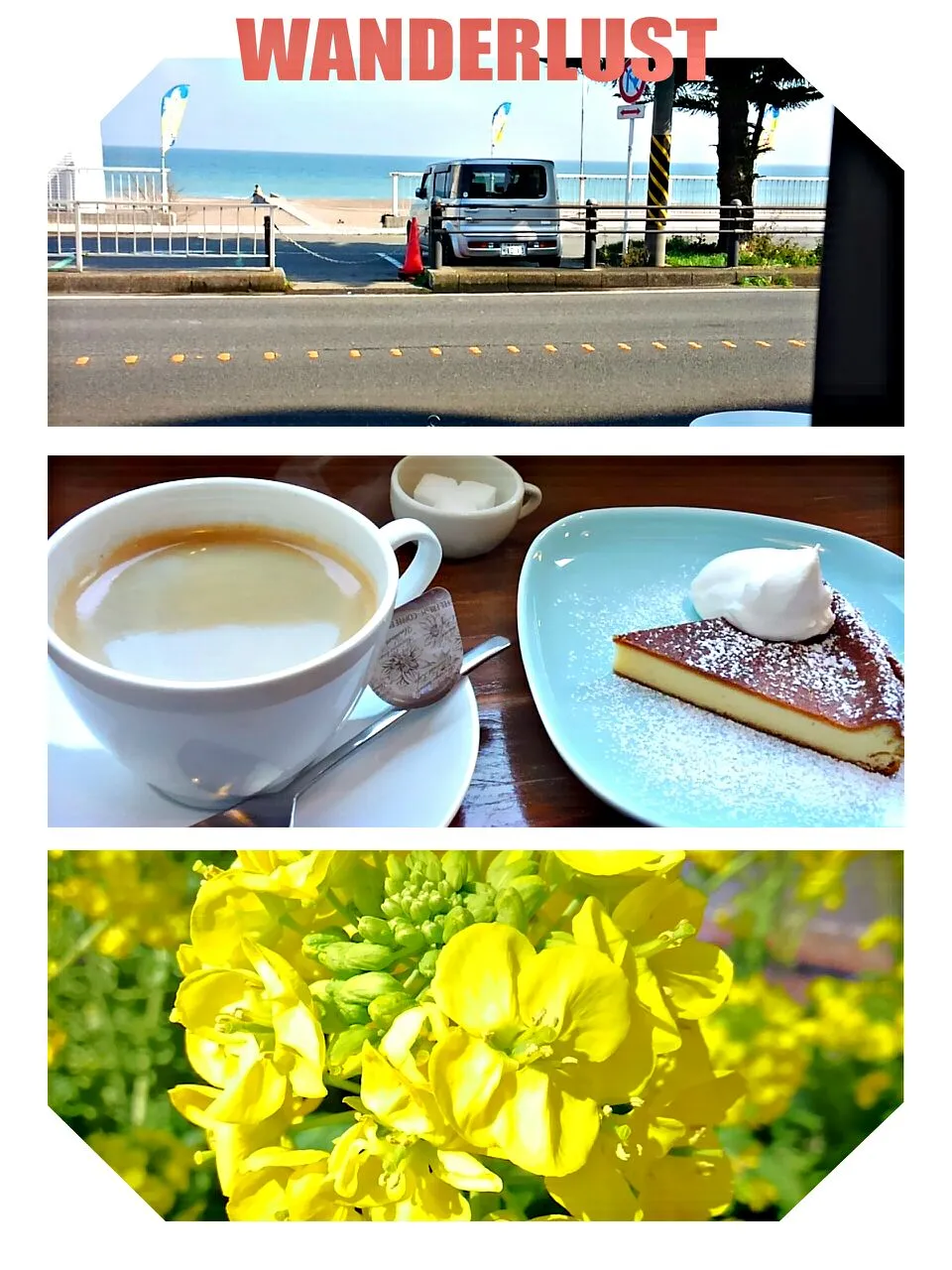 花見帰りに海辺のカフェ|みるくここあさん