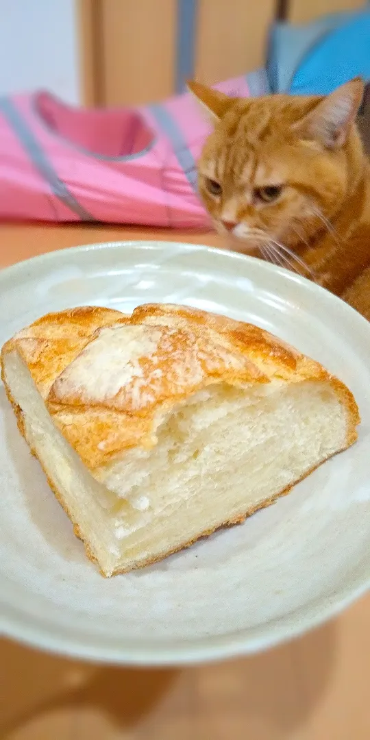 ソフトフランスパン🥐|さくらんぼさん