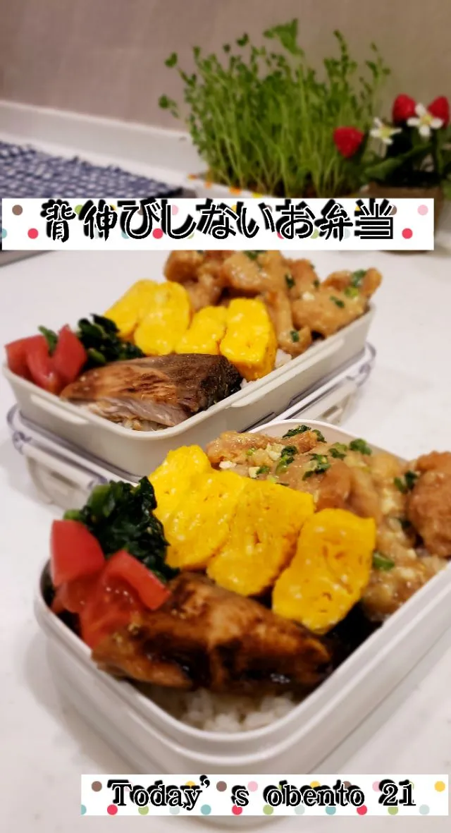 #わが家の働く男弁当
今日も
背伸びしないお弁当じゃ…😀|kimikimikitchenさん