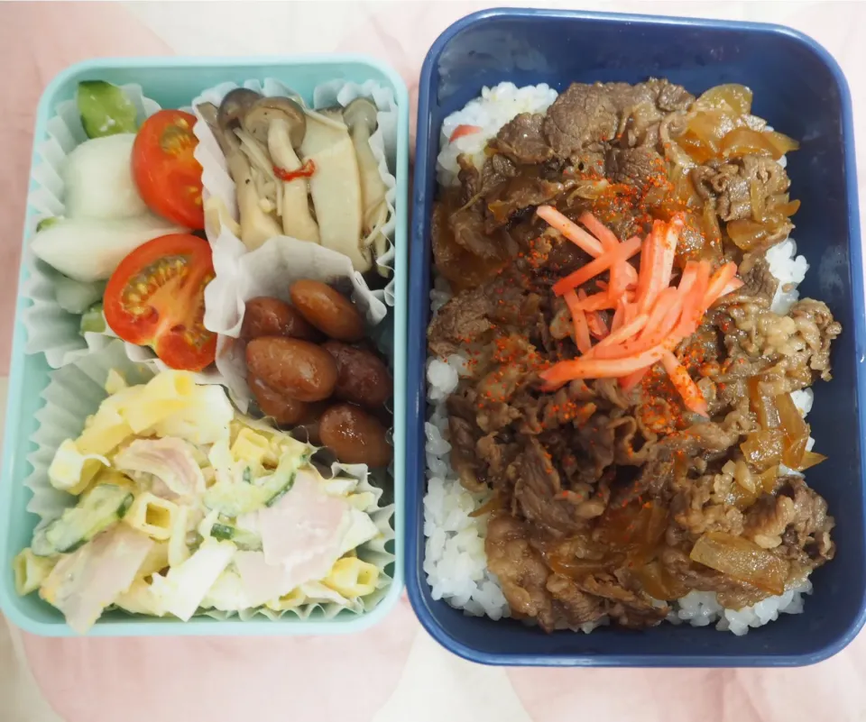 Snapdishの料理写真:牛丼弁当|AKIAKIAKIAKIAKIさん