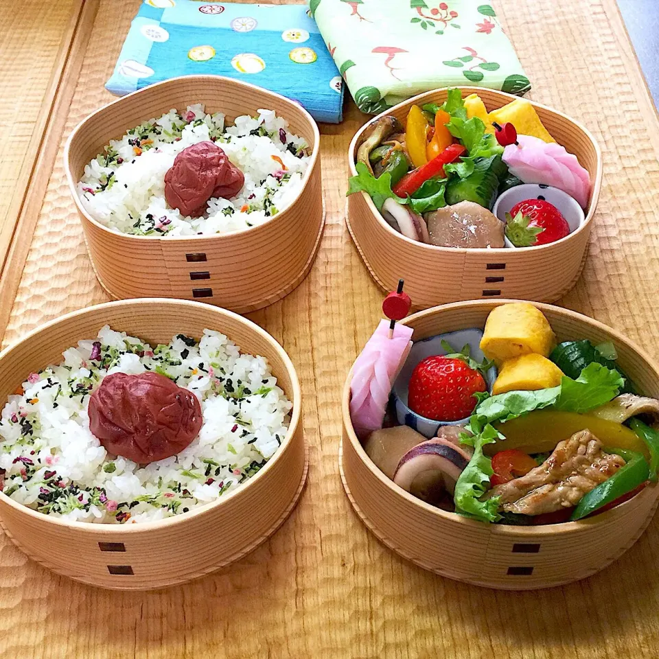 Snapdishの料理写真:🍱２月２１日(木) 本日のお弁当
○白ごはん /梅干し /ふりかけ
○セセリのオイスターソース炒め
○里芋とイカの煮物
○蛇腹きゅうりの浅漬け
○甘い玉子焼き
○かまぼこ
○苺 /レタス|mutsumi☺︎さん