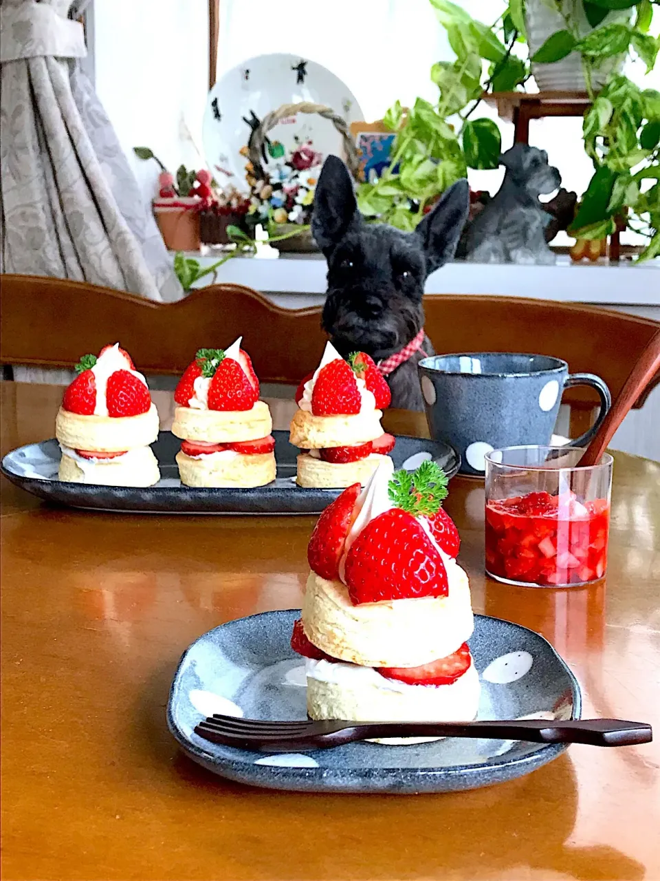 温かいスコーンケーキ🍓|Miki (^_−)−☆さん