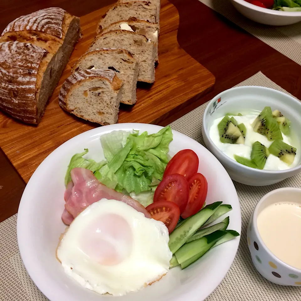 ☆今日の朝ごはん☆   カンパーニュ  サラダ ヨーグルト  豆乳|hamamaさん