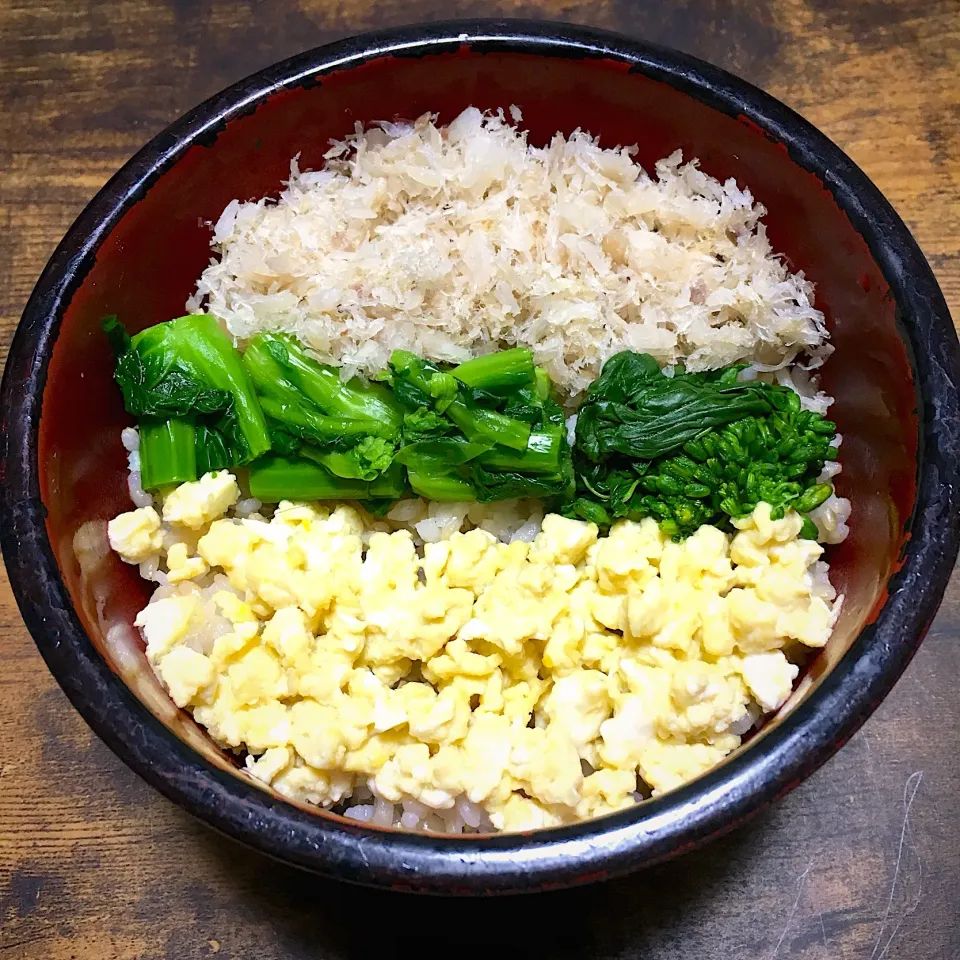 手づくりでんぶでそぼろ丼  #そぼろ丼#でんぶ#菜の花#あんしん卵|Shirokoさん