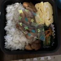 旦那さん弁当|おしるこさん