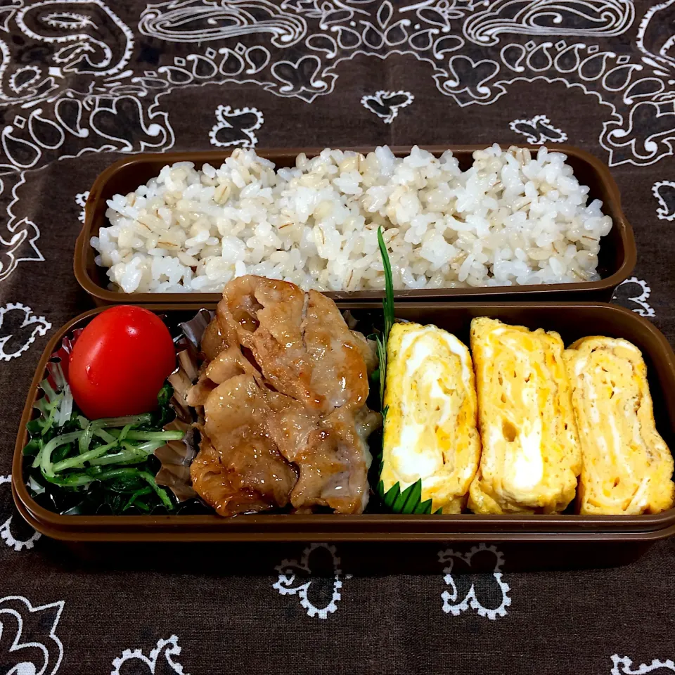 ☆今日のお弁当☆  パパのお弁当作り始めました。|hamamaさん