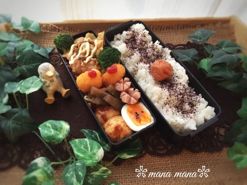 いつかのお弁当〜その①
どうした？
なにがあった編|まなまな♡さん