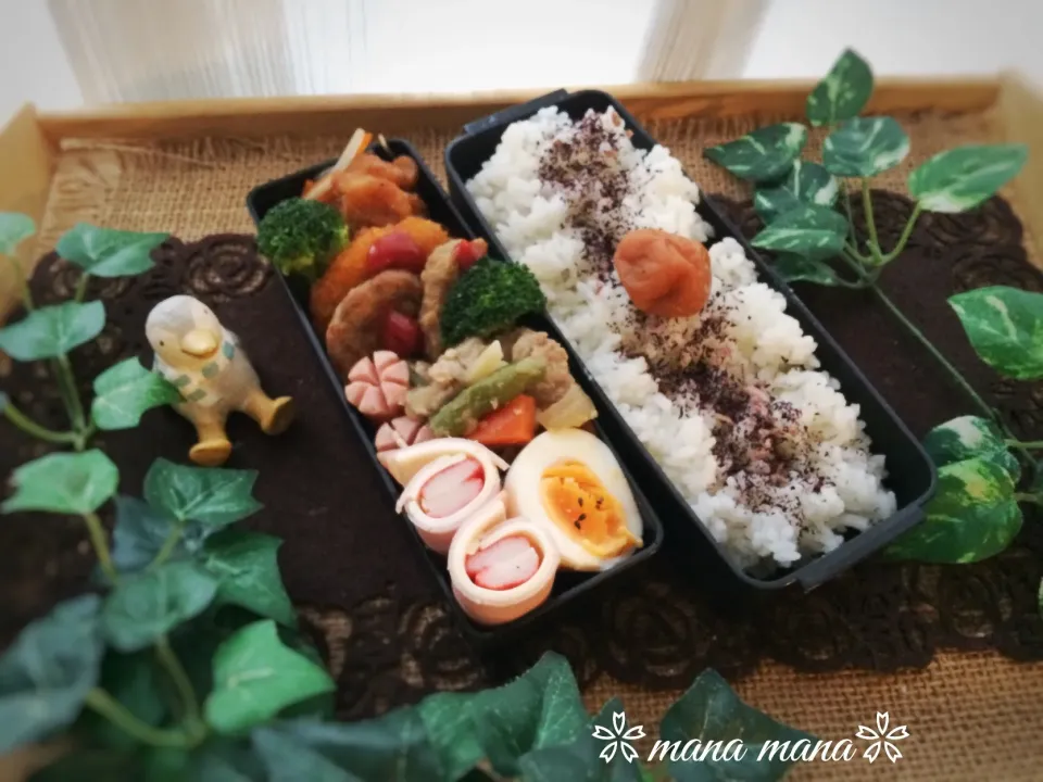 いつかのお弁当〜その②
インフルじゃなかったけどね編|まなまな♡さん