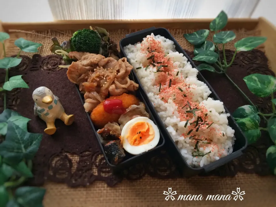 いつかのお弁当〜その④
オワタ英検編|まなまな♡さん