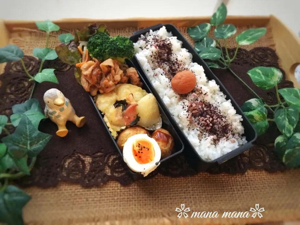 Snapdishの料理写真:いつかのお弁当〜その⑤
そりゃ違反だよね編|まなまな♡さん