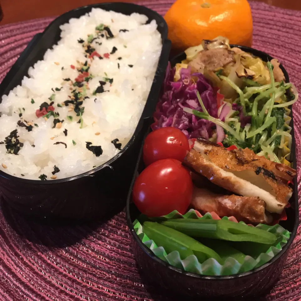 今日のお弁当🍱
春っぽい彩りで

まだまだ風が
強く寒そう
体調管理に気をつけて
今日も頑張って
いってらっしゃい👋😊|mokoさん