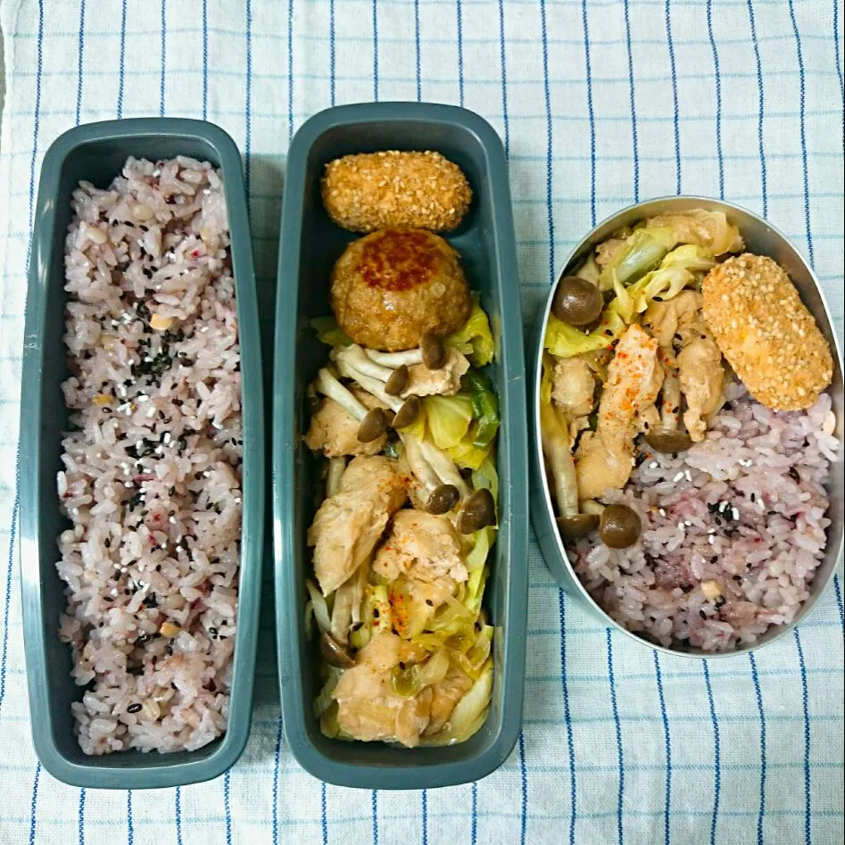 ささみとキャベツのレンジ蒸し弁当|jun(・x・)さん