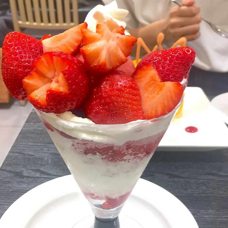 タカノでお茶&軽食|Akiko Otaniさん