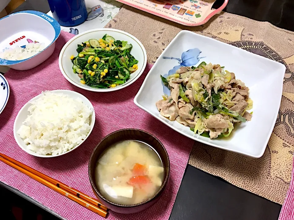 Snapdishの料理写真:豚肉のネギ塩ダレのご飯|みよさん