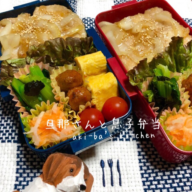 旦那さんと息子弁当2 28 アキーバ Snapdish スナップディッシュ Id 1avfca