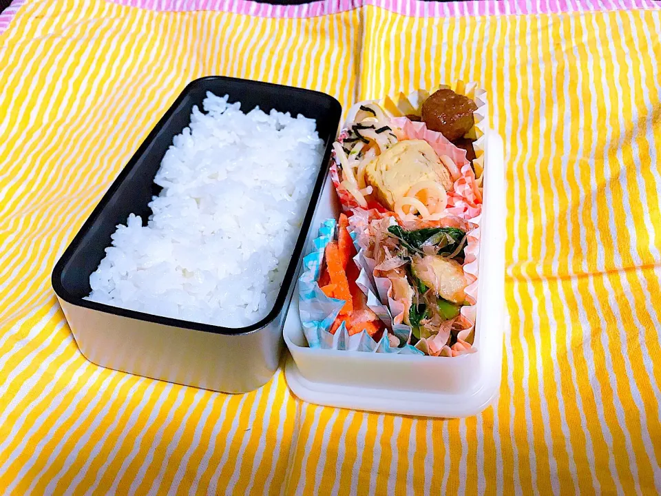 遠足延期でお弁当🍱持参の日🌸|えいぽんさん