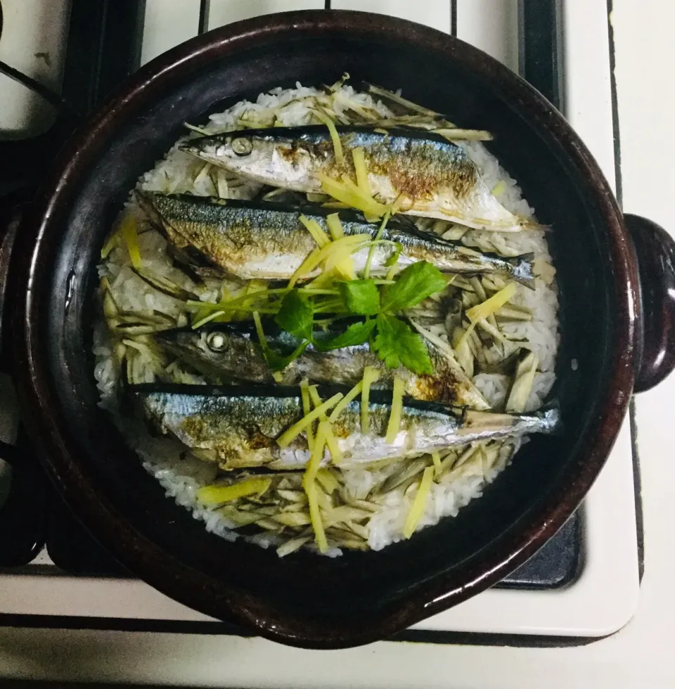 ✤土鍋さんまご飯✤|ムネモシュネンさん