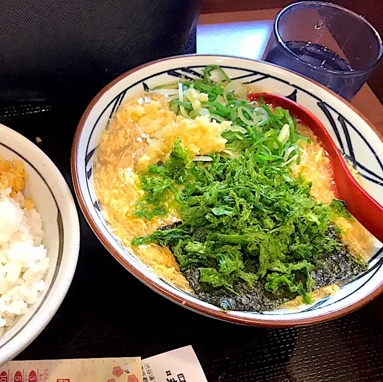 丸亀のあおさ玉子あんかけうどん|純さん