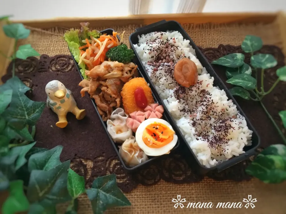 Snapdishの料理写真:ふらっと弁当〜|まなまな♡さん