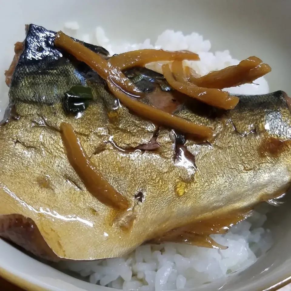 鯖の煮付けをご飯に鯖丼|Morito Kamiyaさん