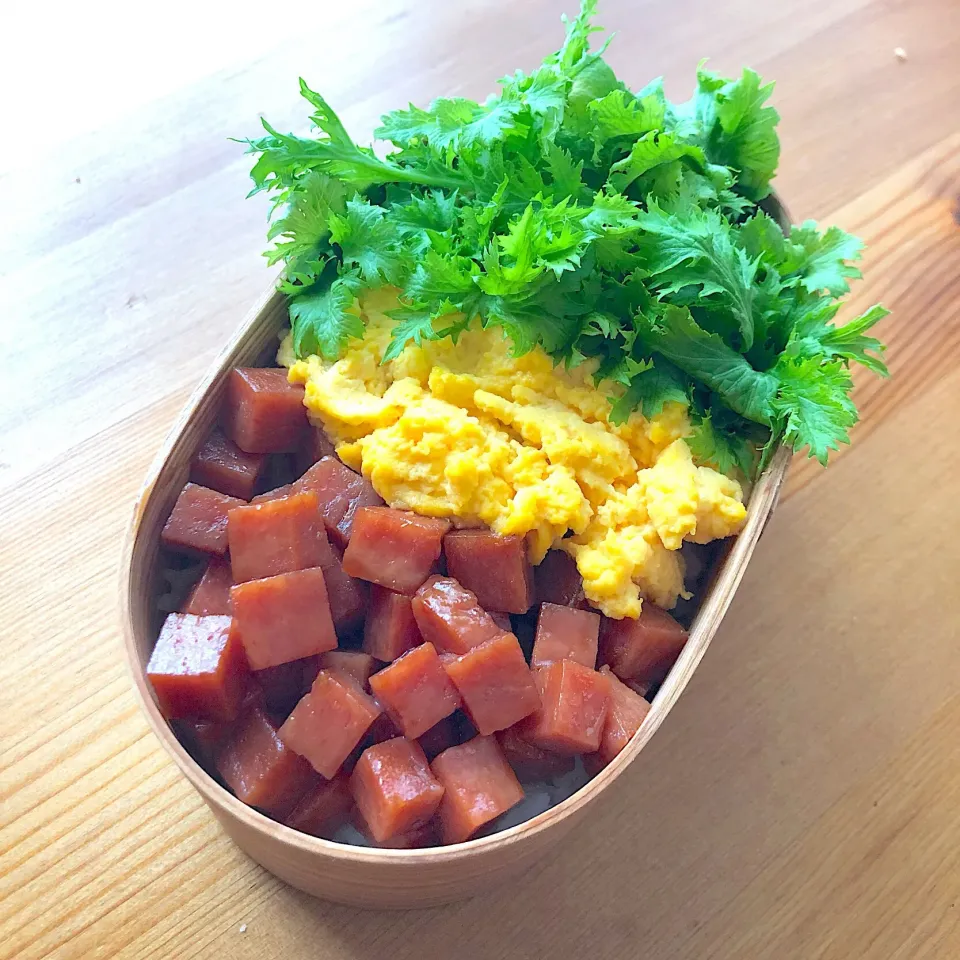 今日のお弁当【甘辛スパム丼】
 #お弁当  #今日のお弁当  #わっぱ弁  #わっぱ弁当|@mano*さん