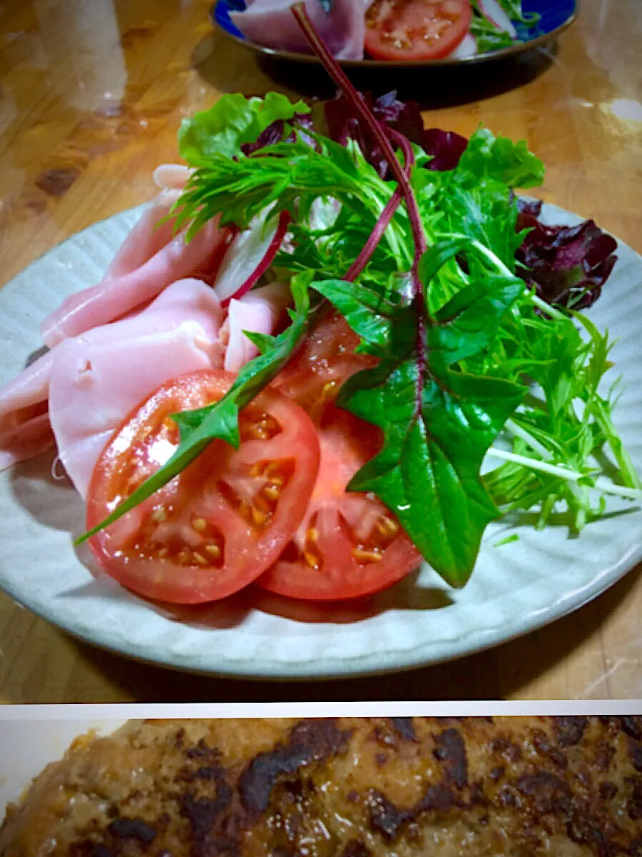 ハンバーグと新鮮三瀬の生野菜|keikoさん