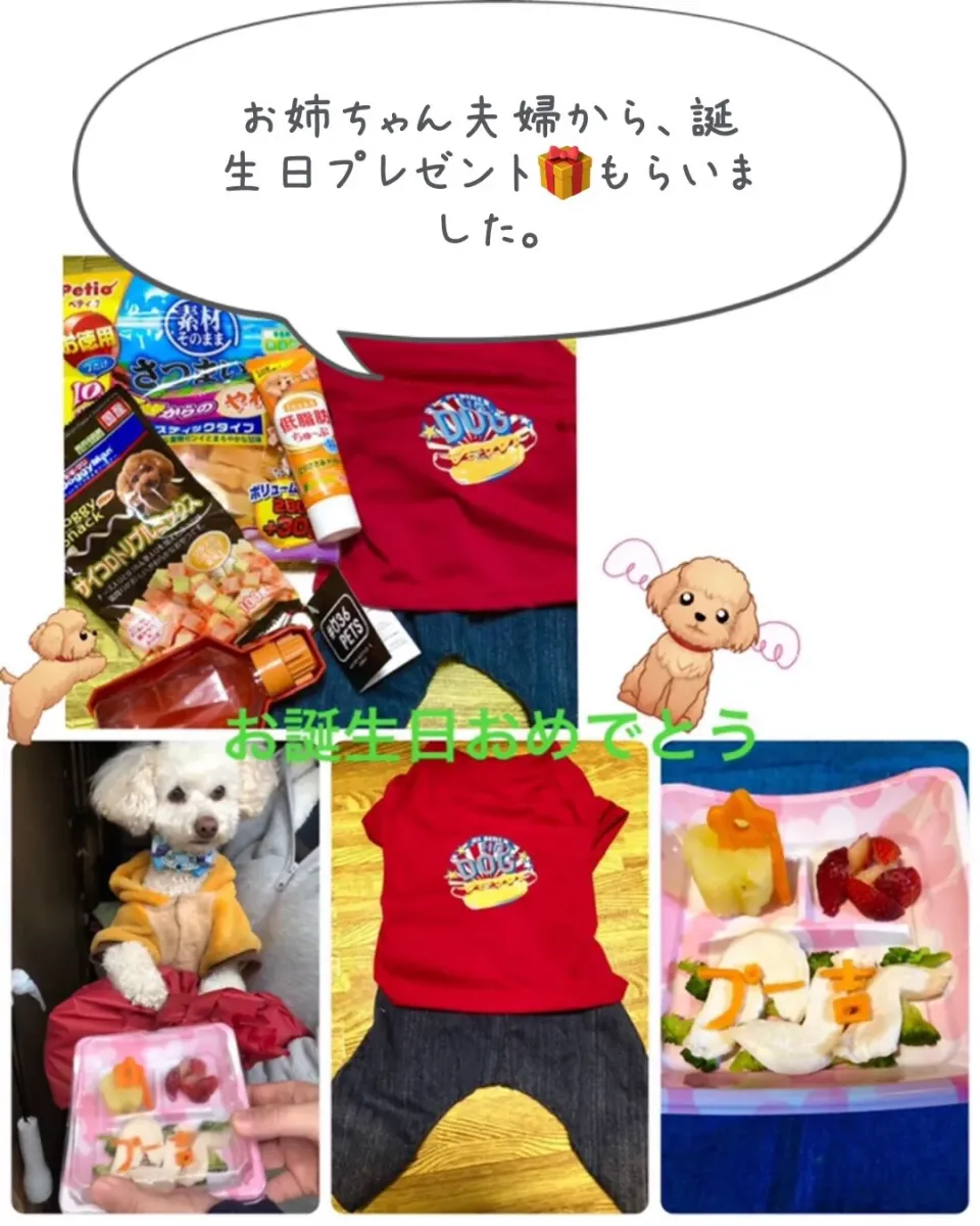 プー吉🐶くんの誕生日！ご飯作りました。|ぷーはるひゅうさん