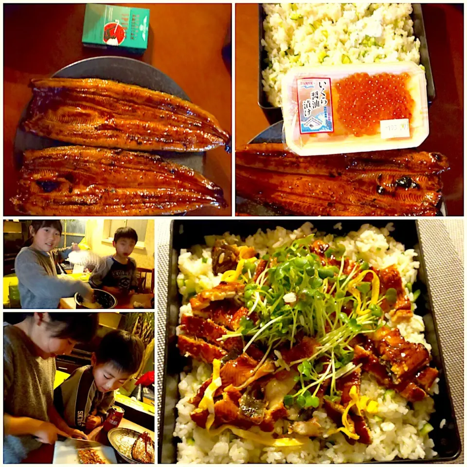 Snapdishの料理写真:Eel rice in a box w/a variety of ingredients sprinkled on top🎎鰻ちらし寿司|🌈Ami🍻さん