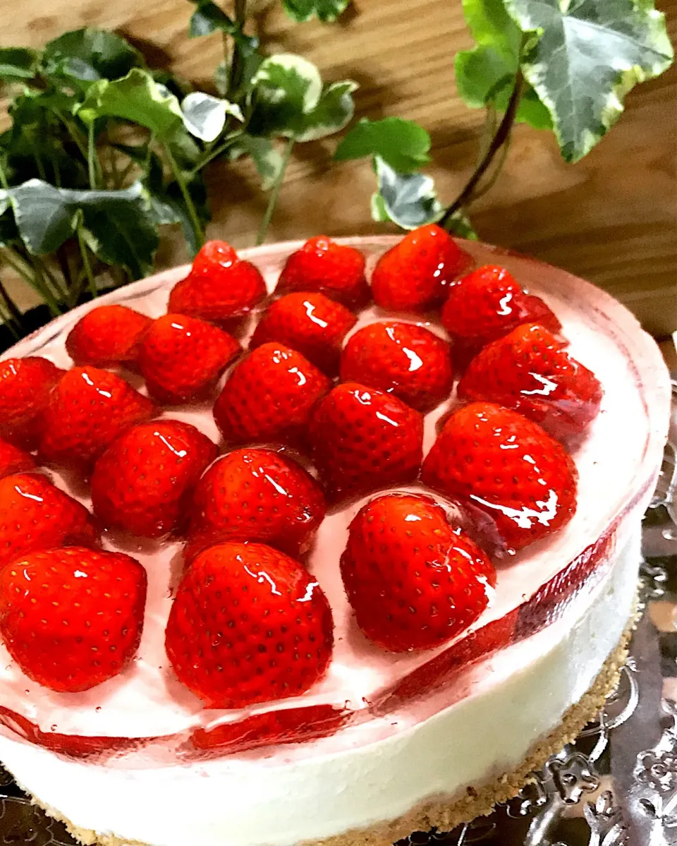 レアチーズケーキ💝娘のバースデーに
ぷるるんアガーに🍓のせて|あまねこ🌿さん