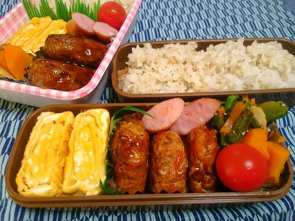 ☆今日のお弁当☆  パパのお弁当作り始めました。 ➕  娘のお弁当|hamamaさん