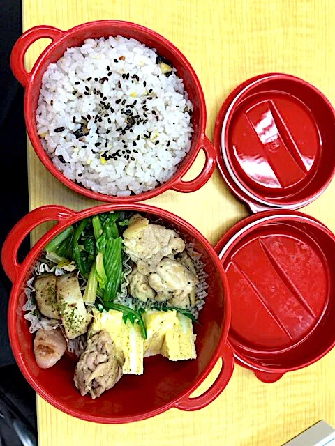 Snapdishの料理写真:愛妻弁当3.5夜の部|もりのさん