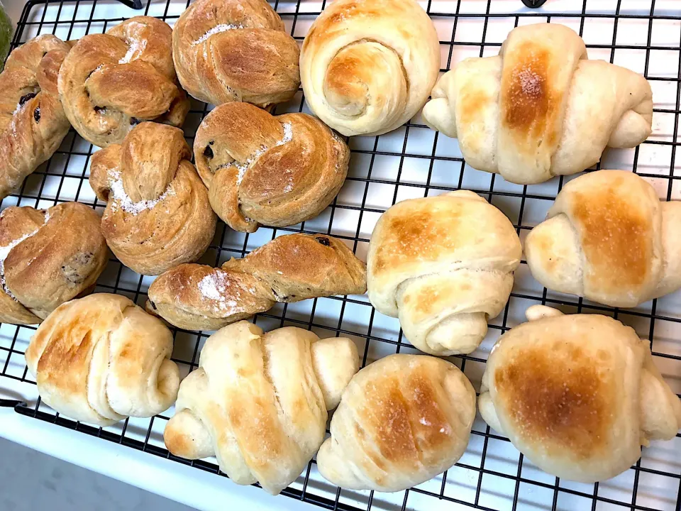 娘たちと🍞
塩パン🥐珈琲レーズンパン|きむらゆりかさん