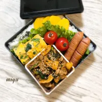 Snapdishの料理写真:豚こまとほうれん草の辛辛炒めのお弁当 | ゆるゆる〜っとパパ弁|miyuっちさん